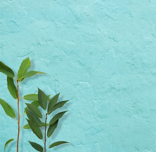 テスト投稿（中央区銀座）